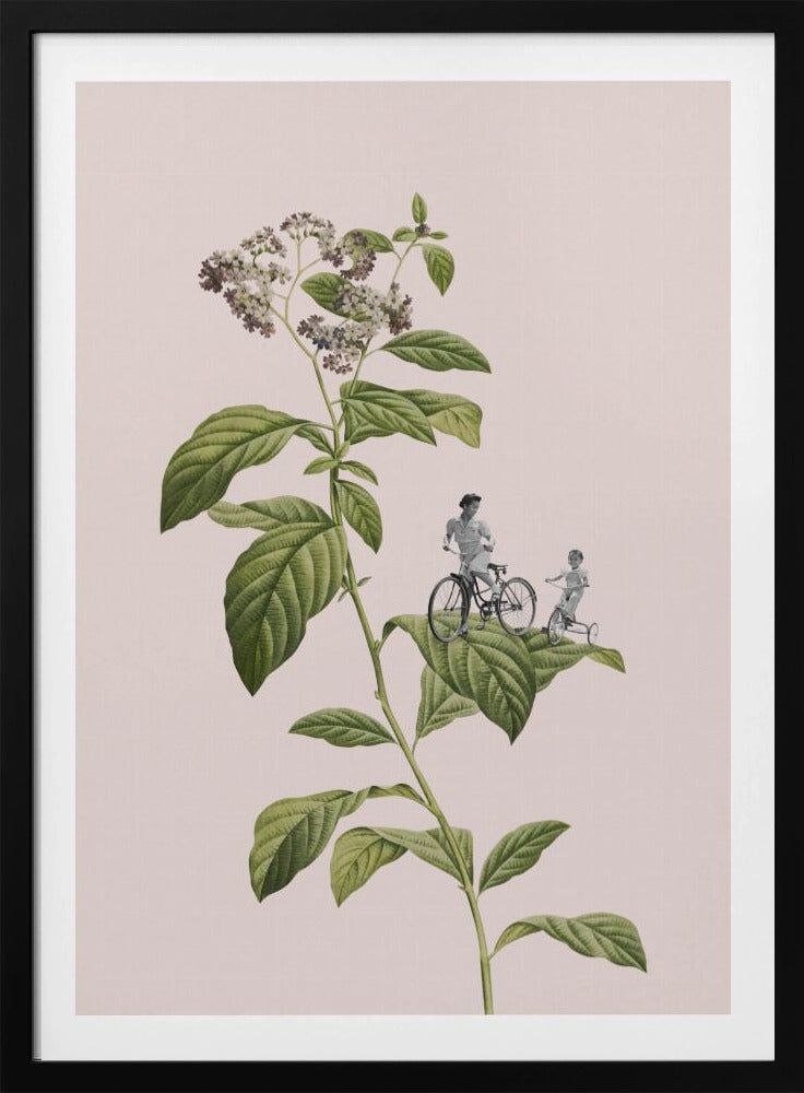 Botanisk cykling | Poster