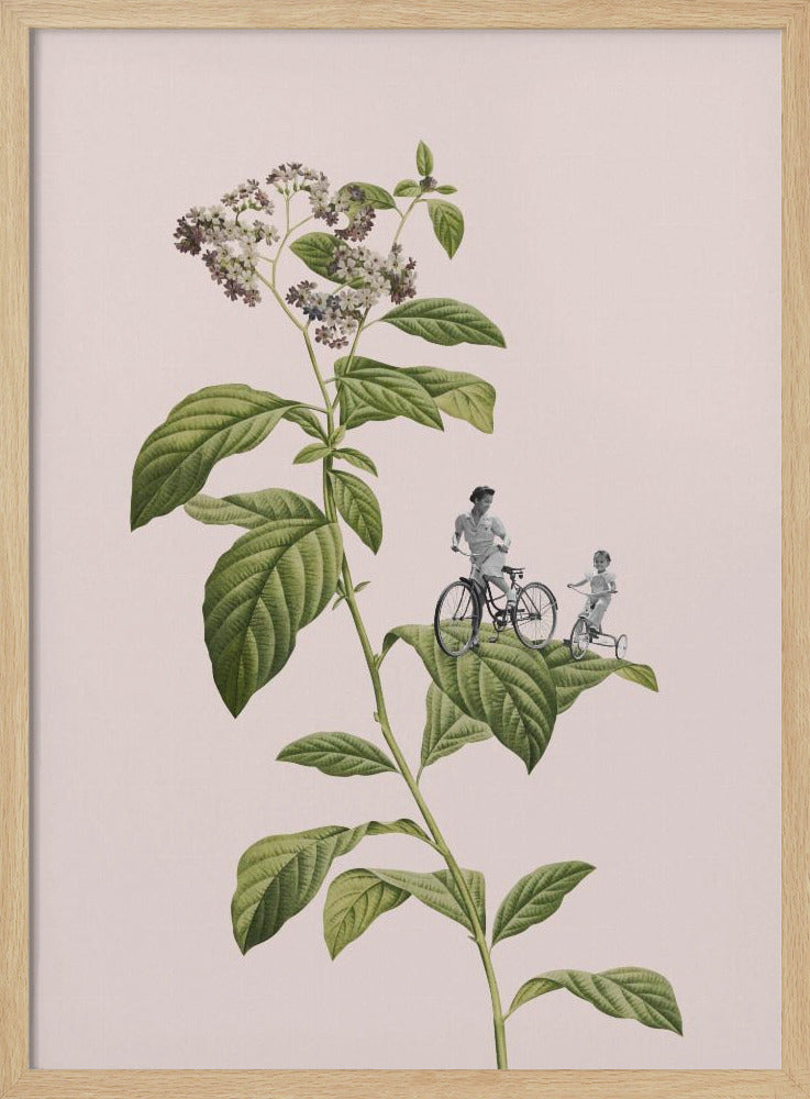 Botanisk cykling | Poster