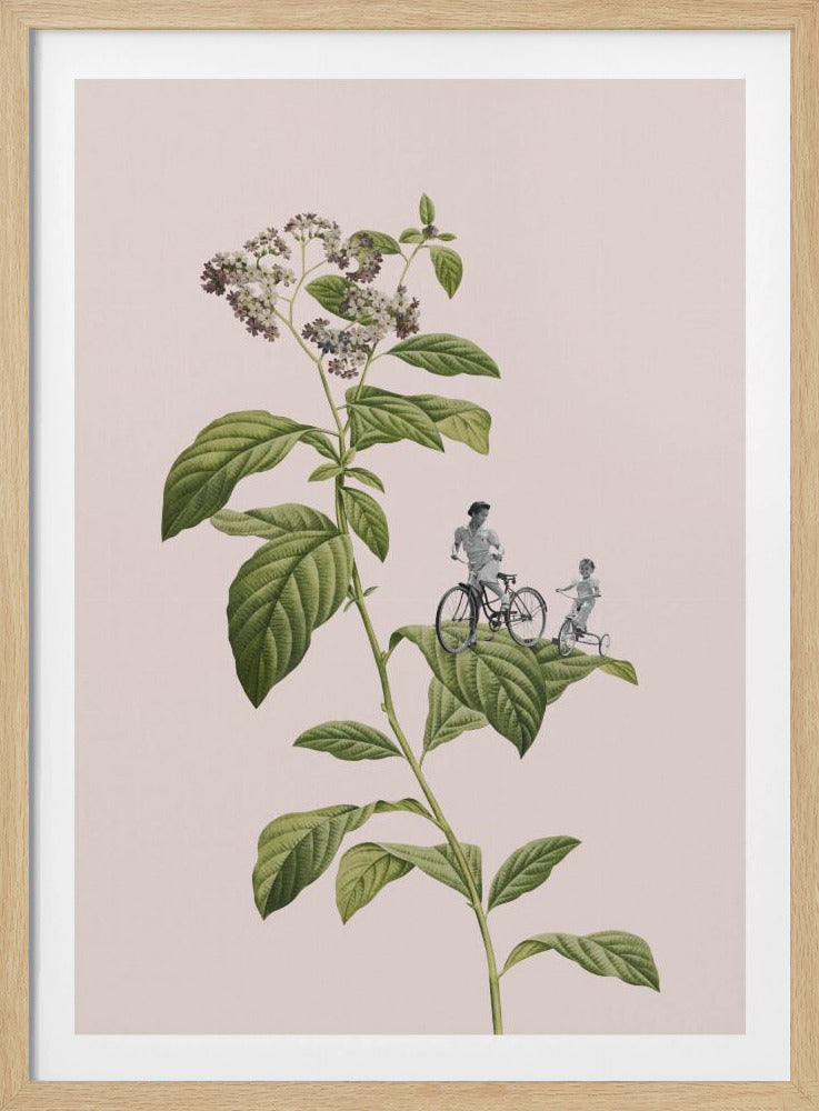 Botanisk cykling | Poster