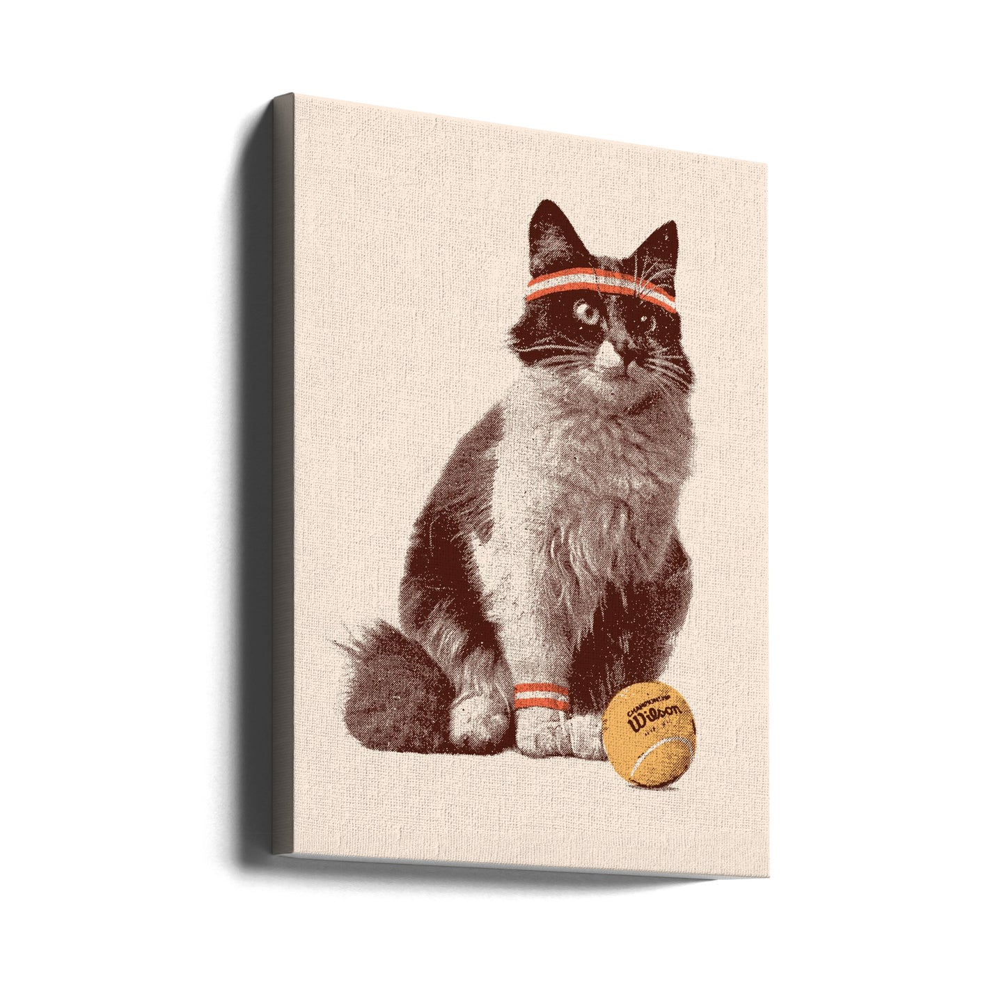 Chat Tennis | Tableaux sur Toile