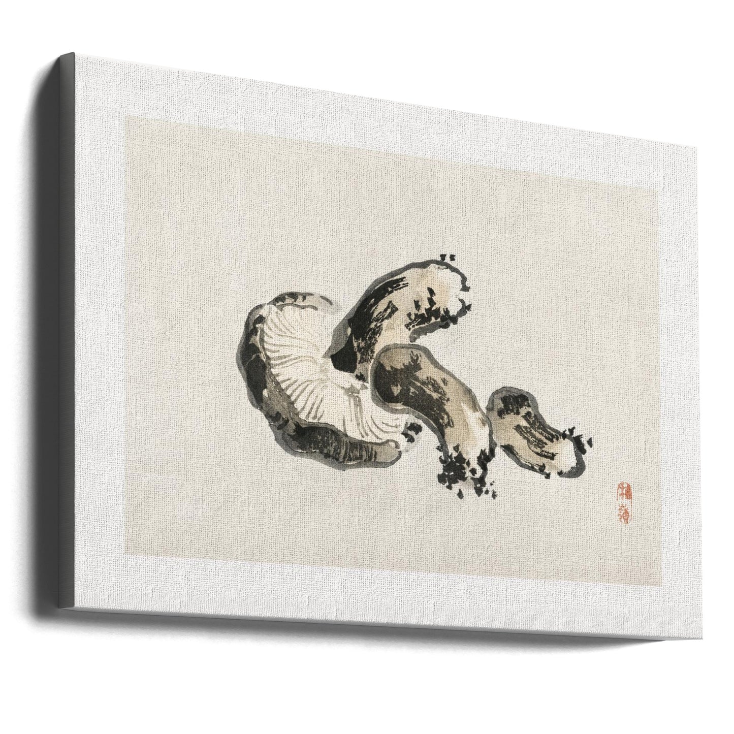 Hongo shiitake | Impresiones en Lienzo