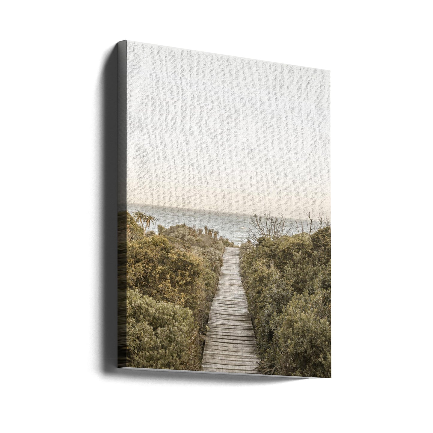Boardwalk | Canvas