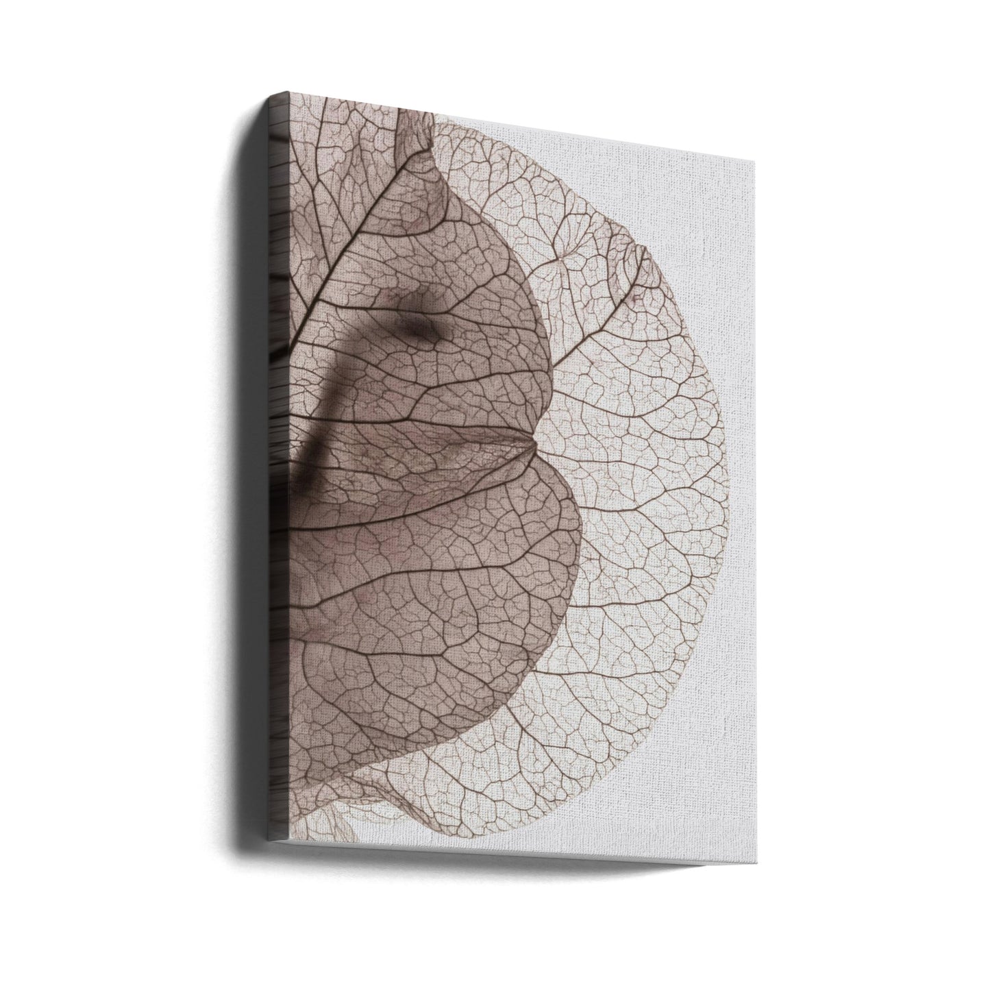 L'île Bougainvillier | Tableaux sur Toile
