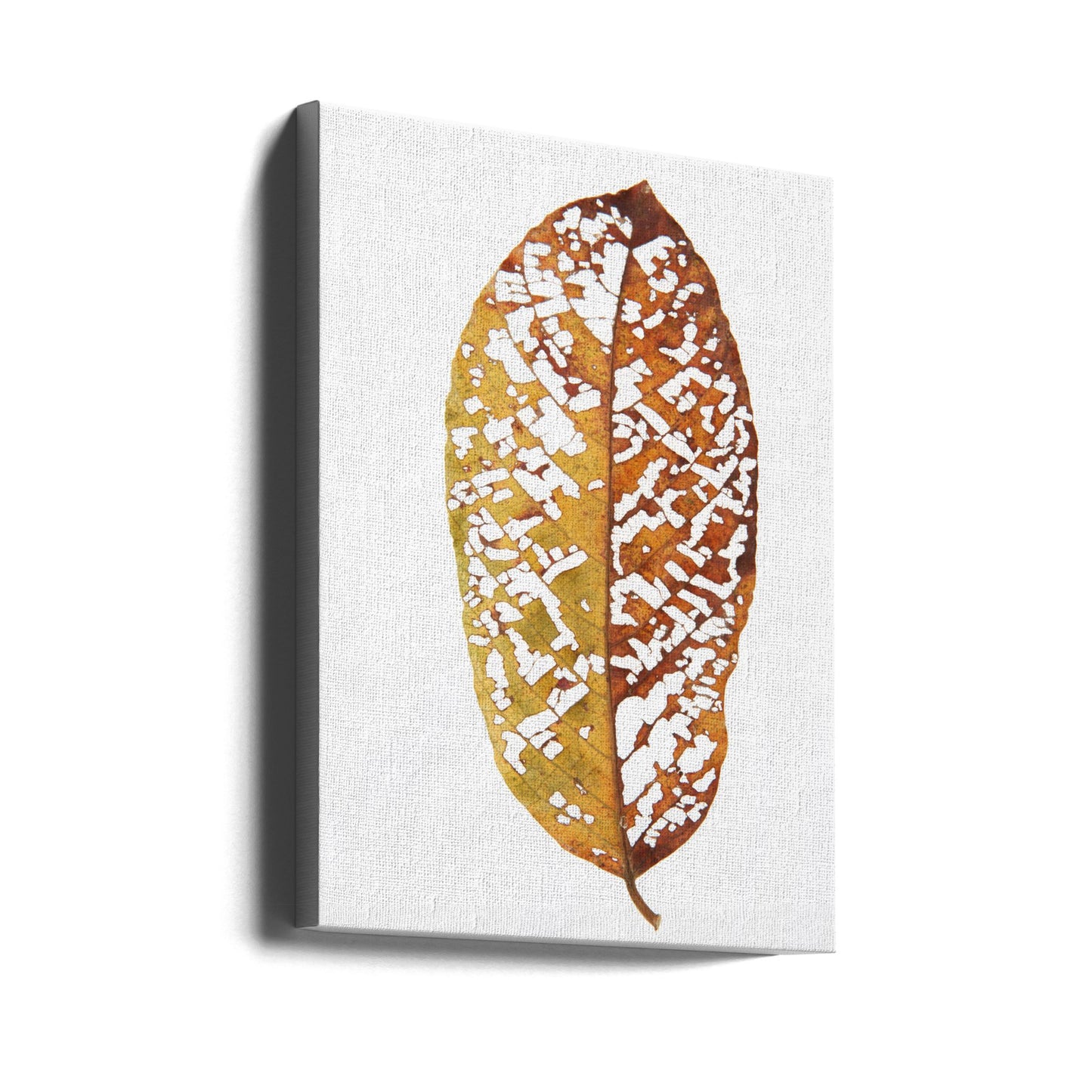 Rainforst Leaf 02 | Canvas