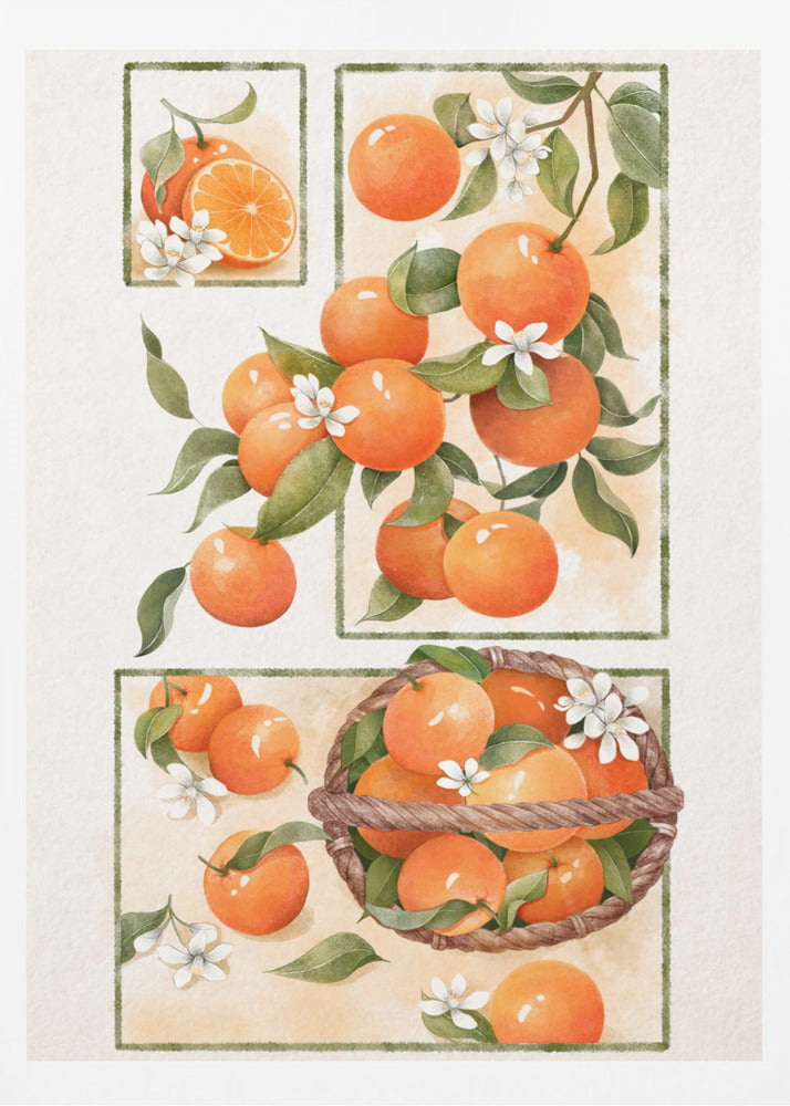 Orangenblüte | Poster