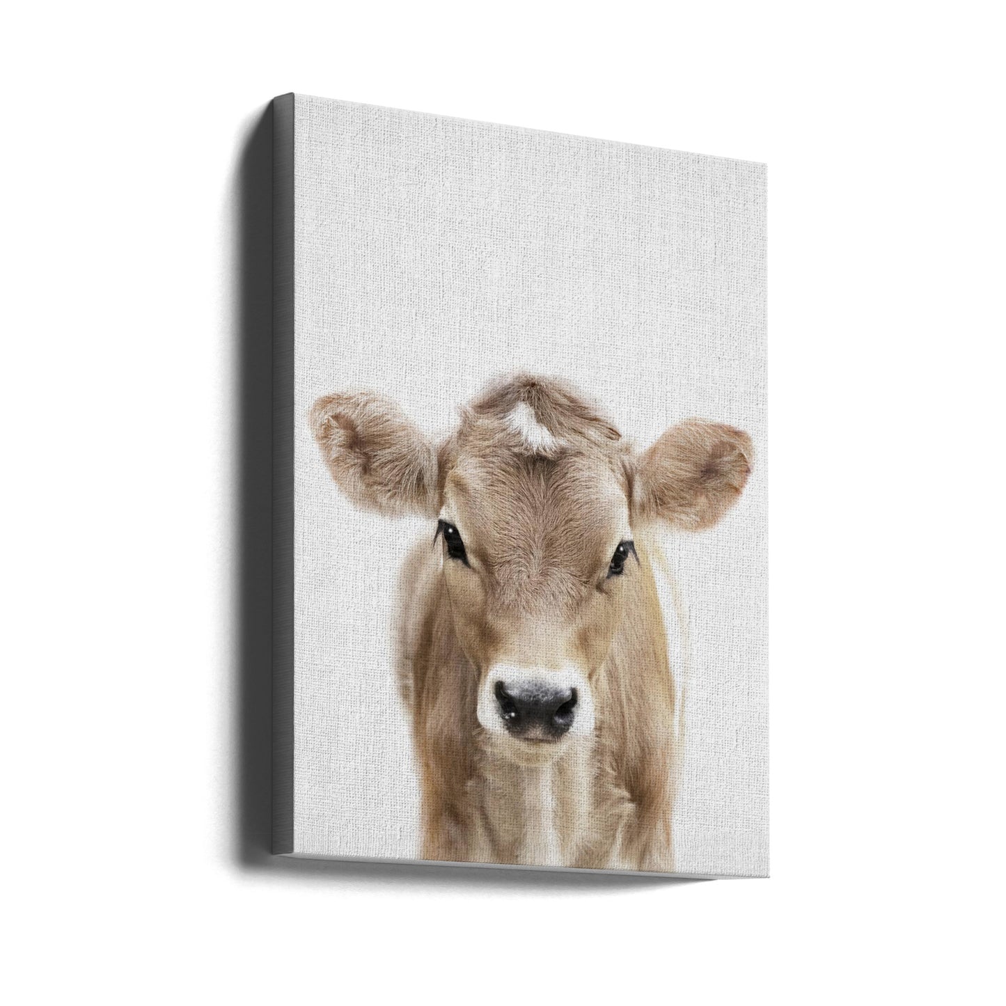 Peekaboo Baby Cow | Canvas