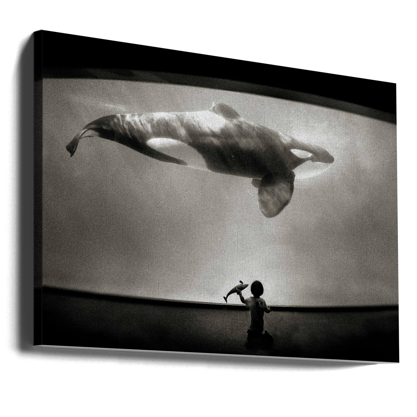 Nel dominio dell'Orca | Stampe su Tela