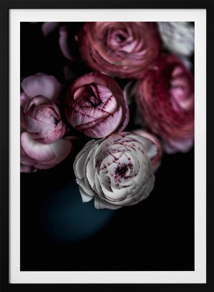 Dark Flowers 2 | Poster