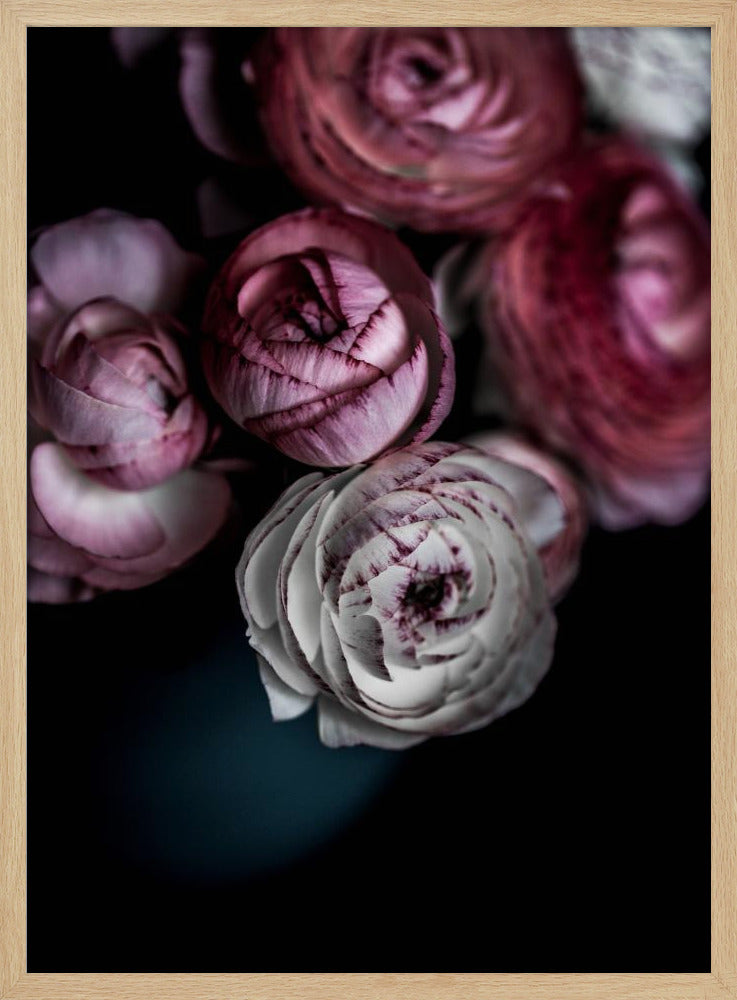 Dark Flowers 2 | Poster
