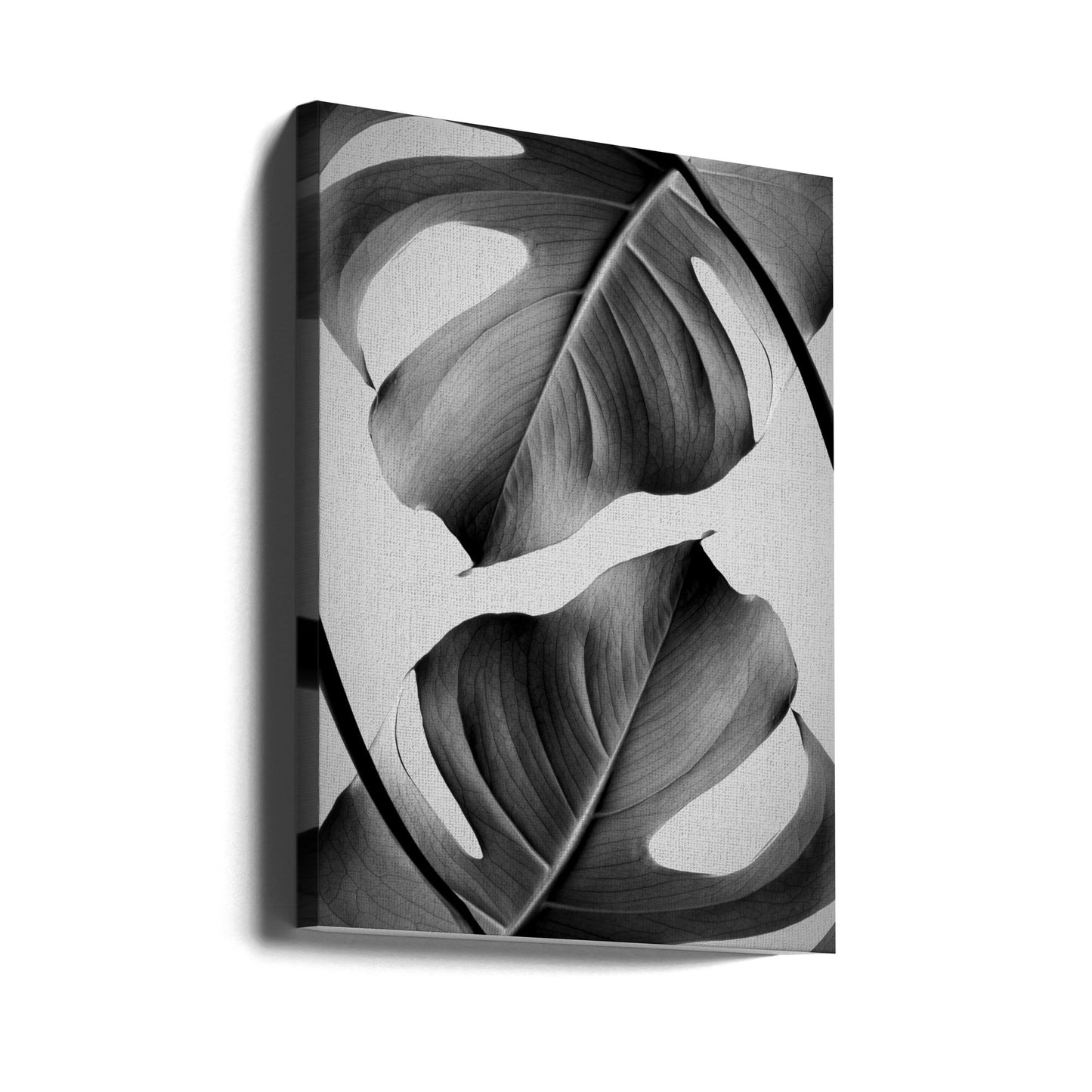 Monstera monochrome | Tableaux sur Toile
