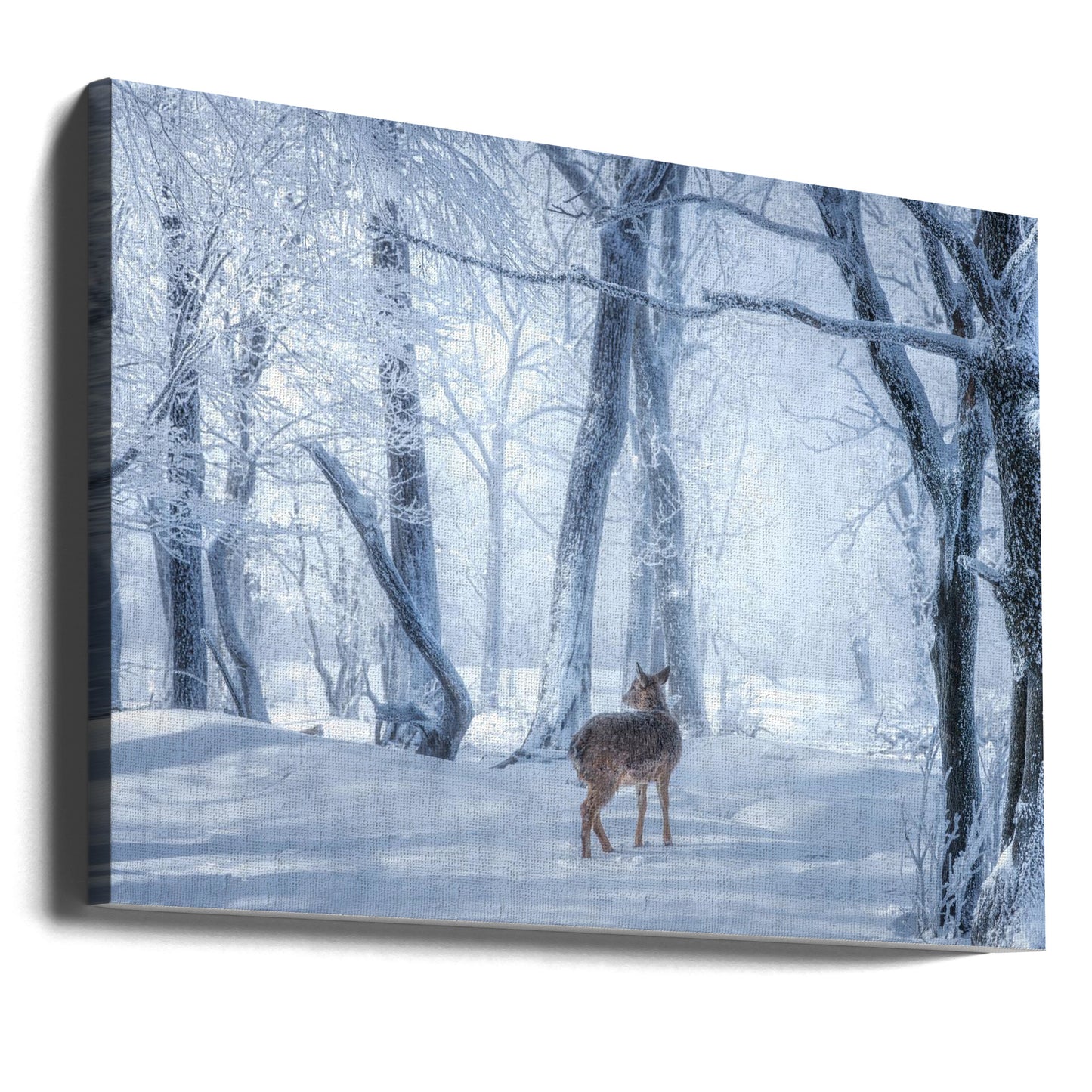 Sikahjorten i den snötäckta skogen | Canvas