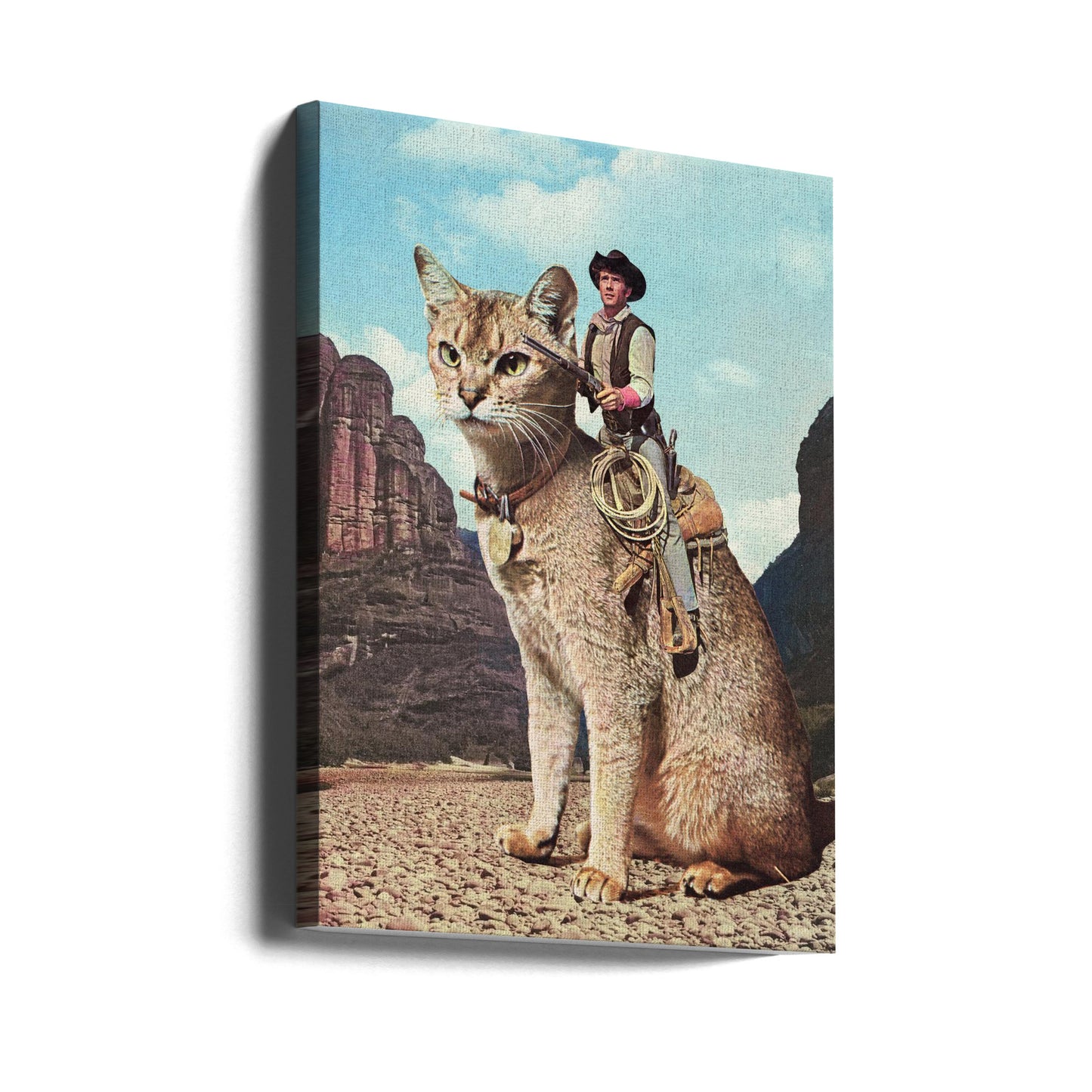 Katze Lone Ranger | Leinwand-Bilder