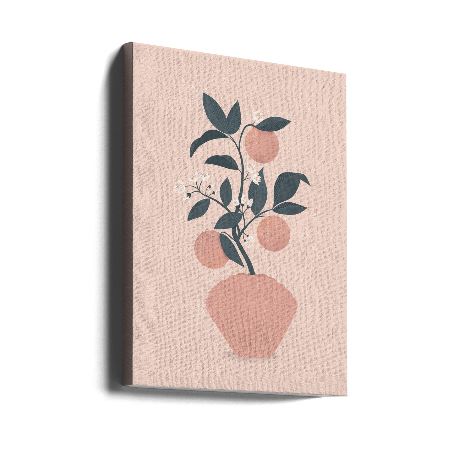 Mandarinskal | Canvas