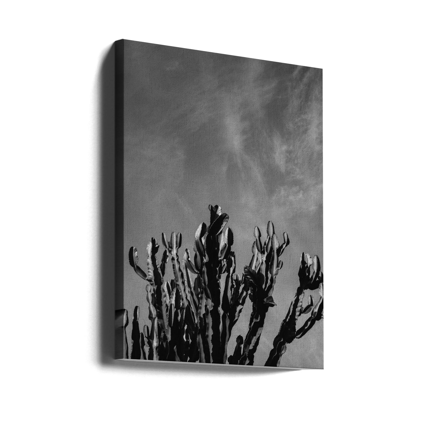 Ciel de cactus monochrome | Tableaux sur Toile