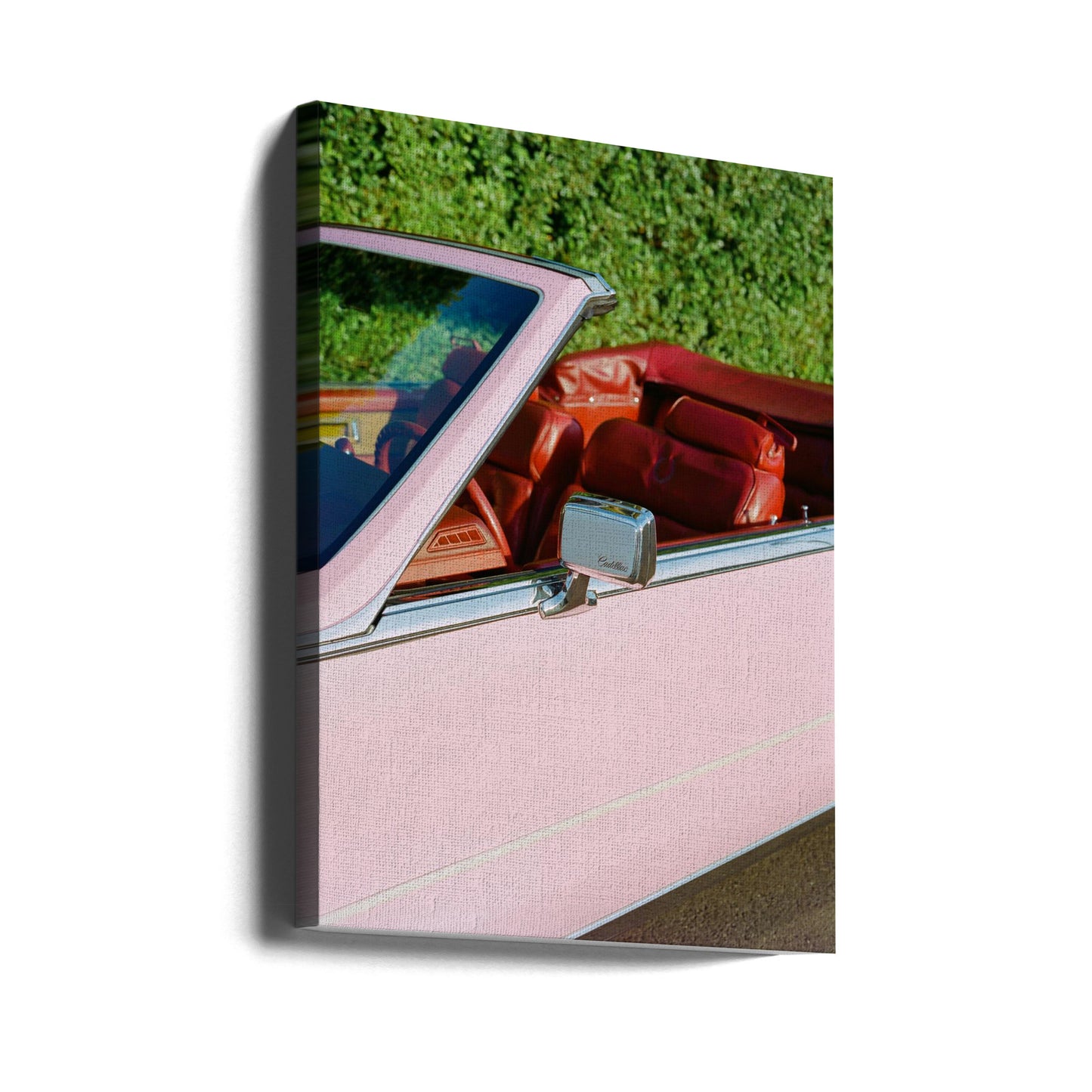 Rosa Cadillac | Canvas