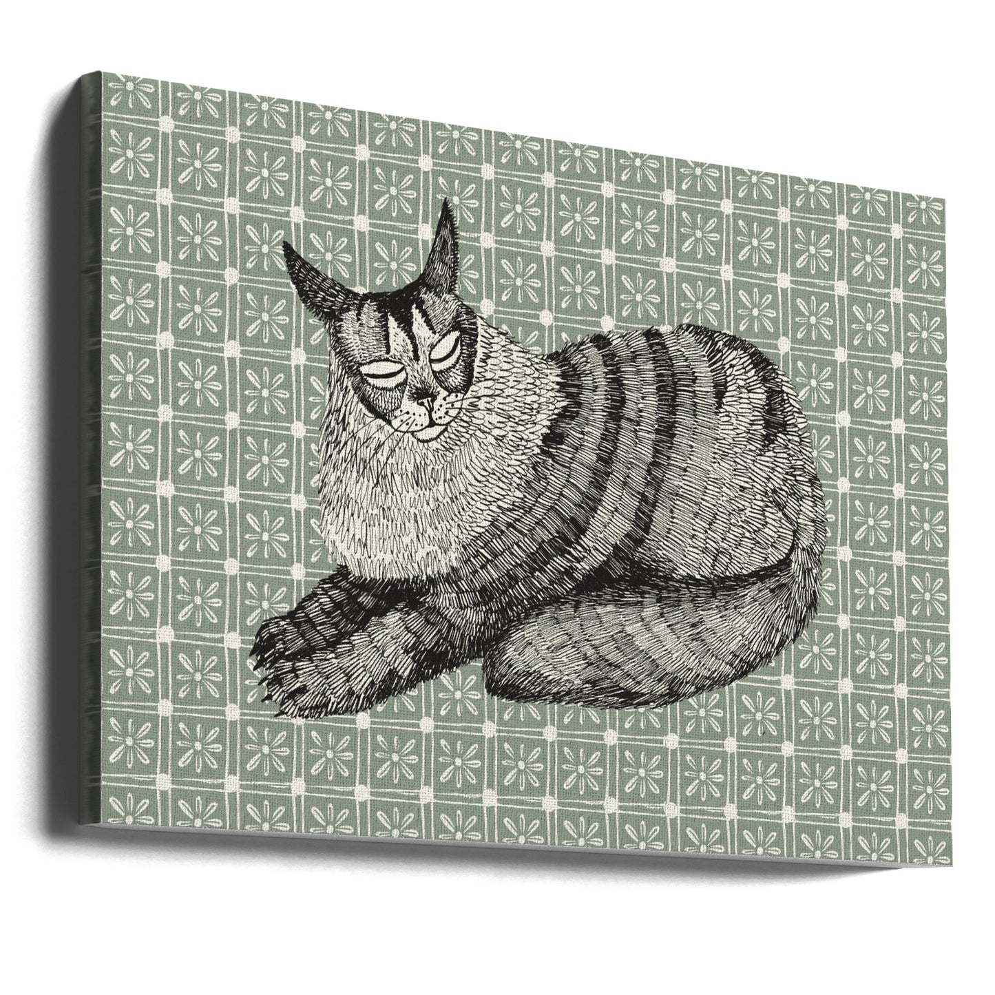 Maine Coon | Wydruki na łótnie