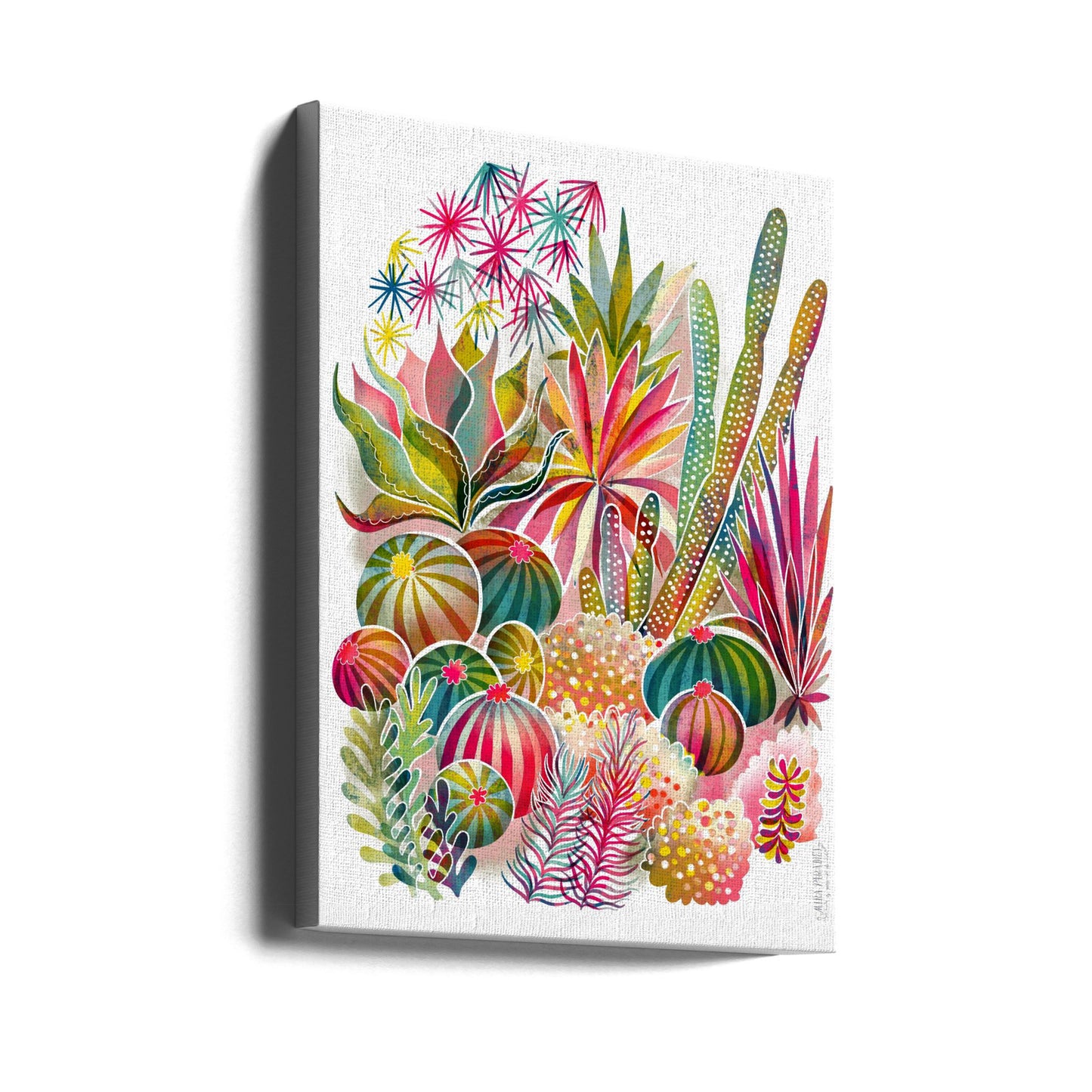 Jardín de suculentas y cactus en flor | Impresiones en Lienzo