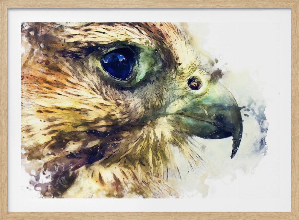 Tier Vogel Turmfalke Aquarell Tierkunst | Poster