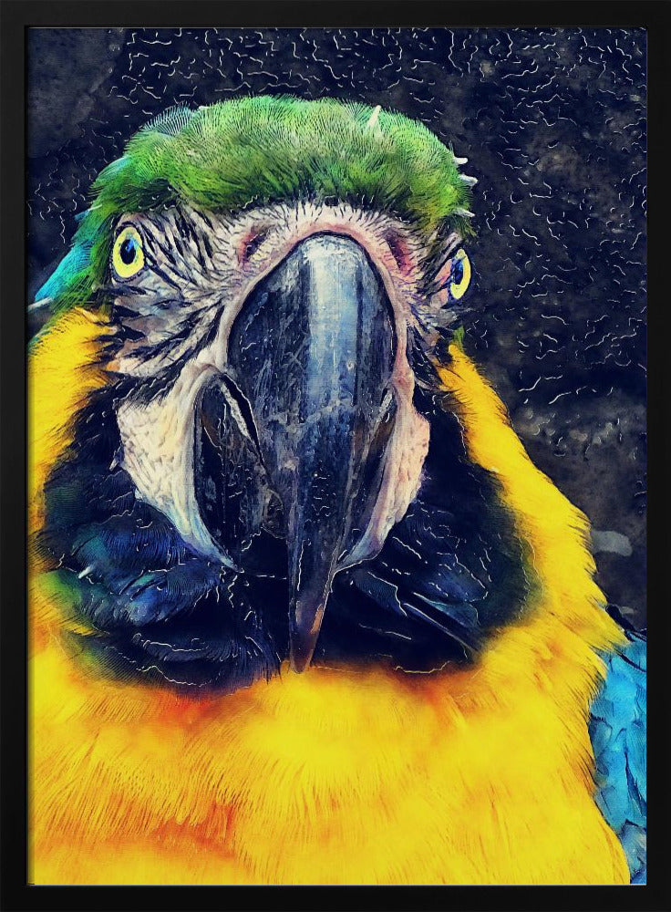 Animals Parrot Watercolor Animal Art | Poster