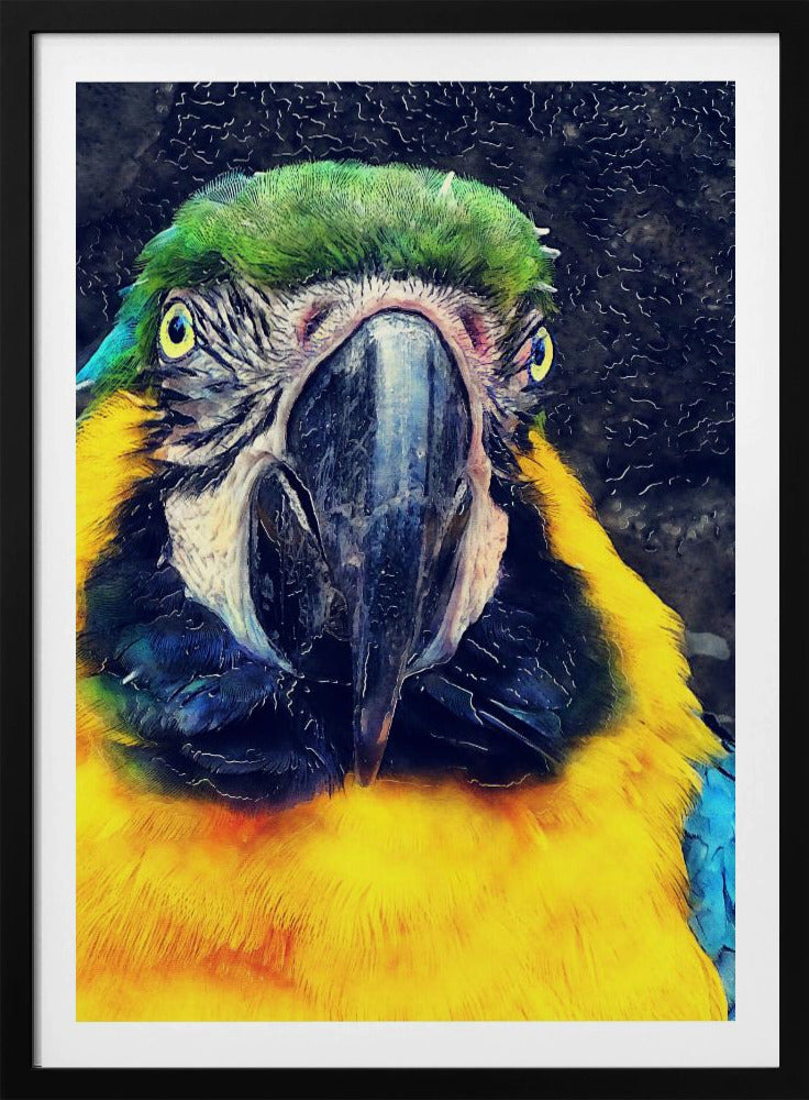 Animals Parrot Watercolor Animal Art | Poster