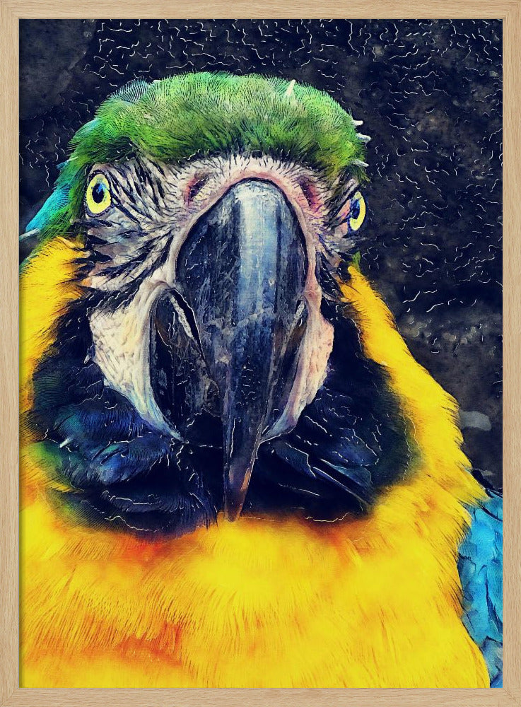 Animals Parrot Watercolor Animal Art | Poster