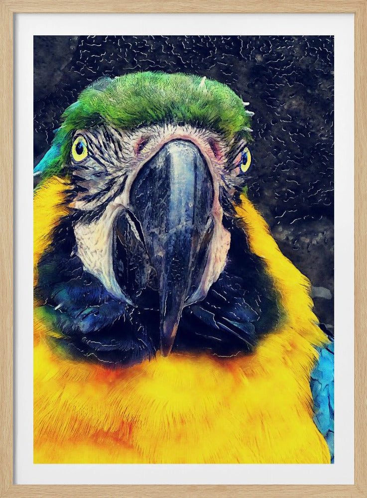 Animals Parrot Watercolor Animal Art | Poster