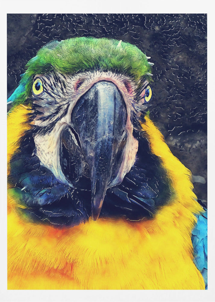 Animals Parrot Watercolor Animal Art | Poster