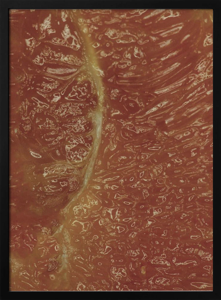 Citrus Mosaic | Poster