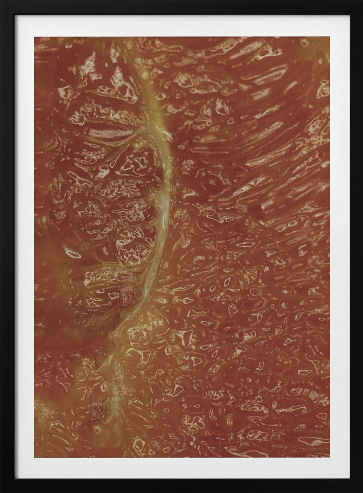 Citrus Mosaic | Poster