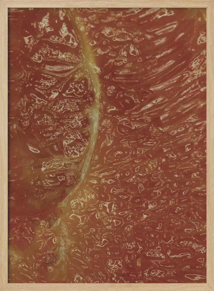 Citrus Mosaic | Poster