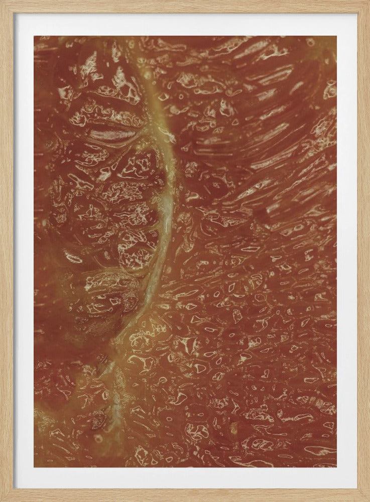 Citrus Mosaic | Poster