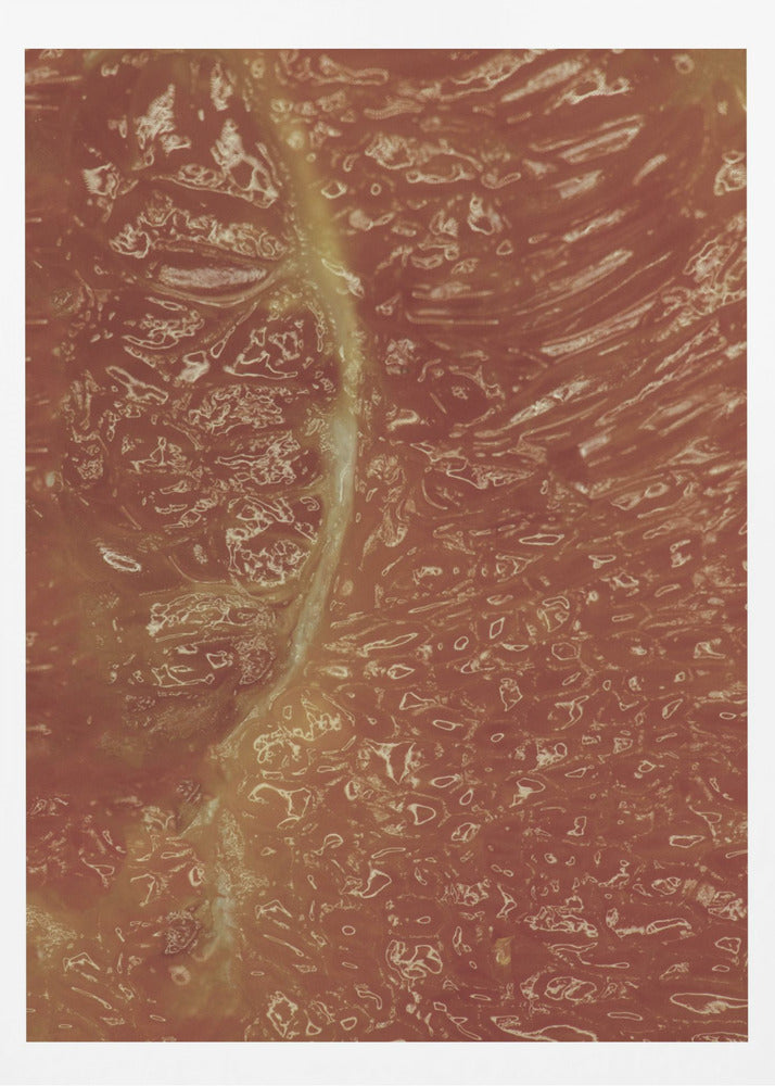 Citrus Mosaic | Poster