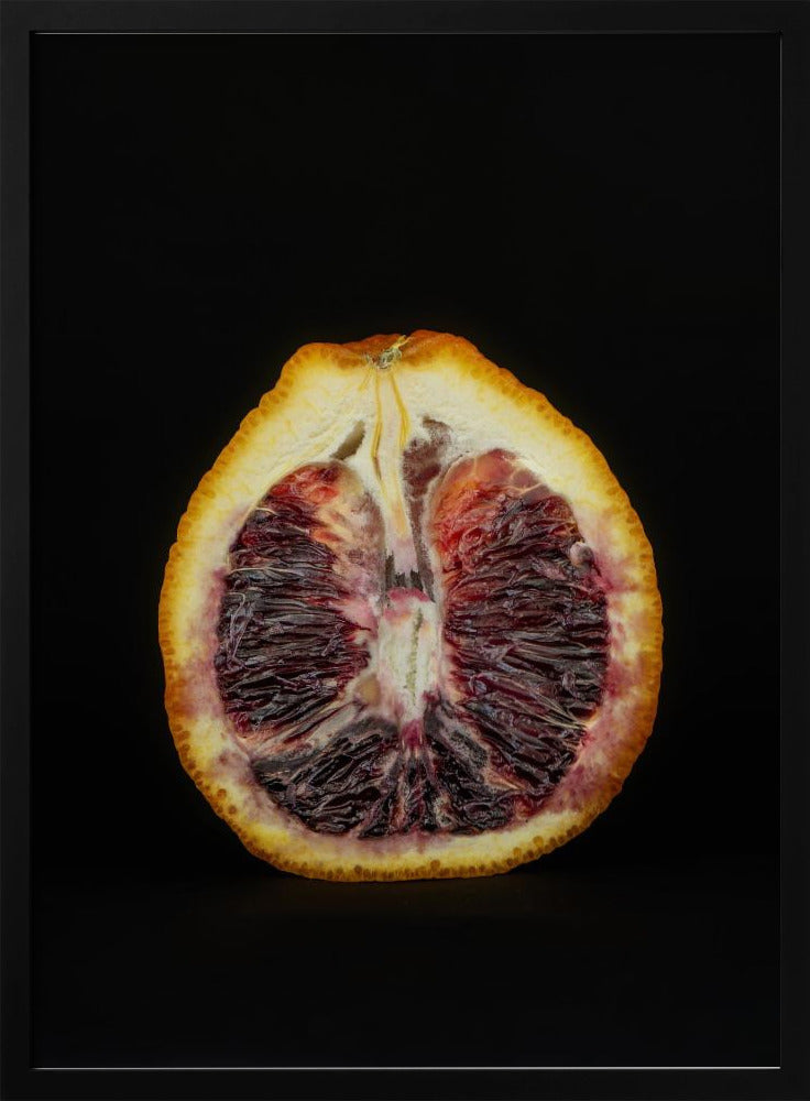 Purpurrote Scheibe | Poster