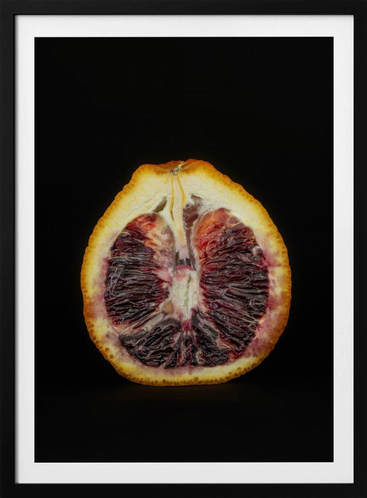 Purpurrote Scheibe | Poster