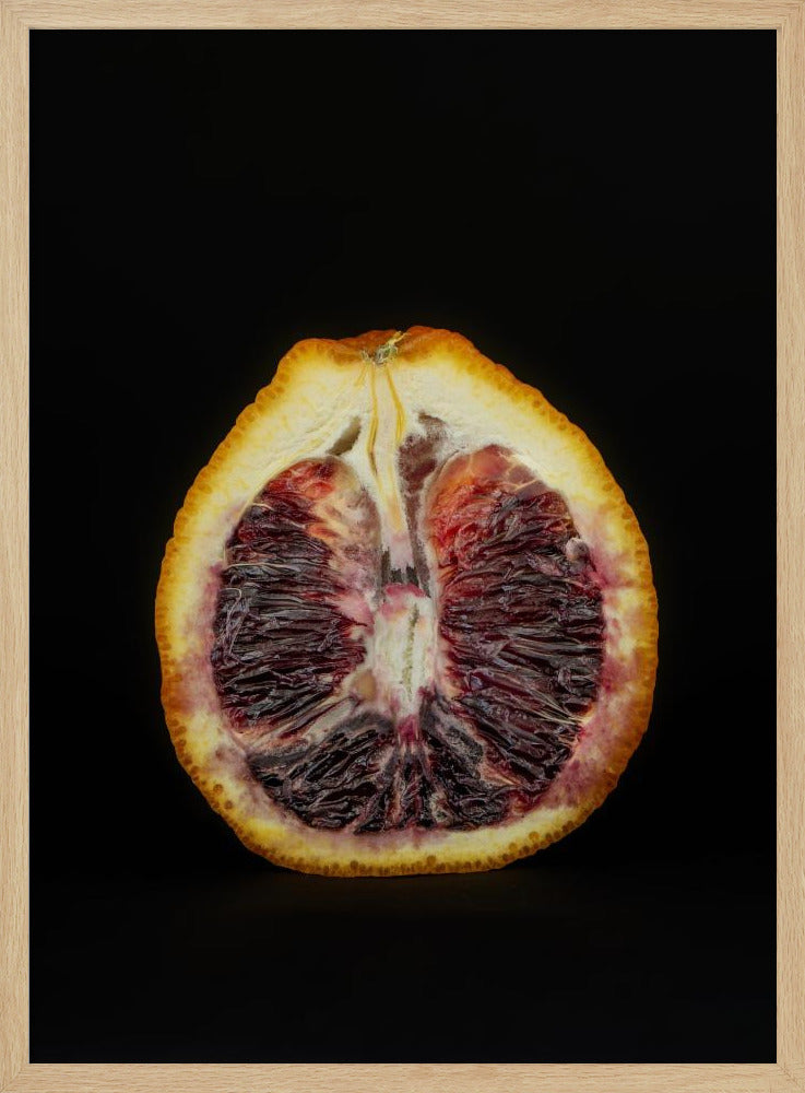 Purpurrote Scheibe | Poster