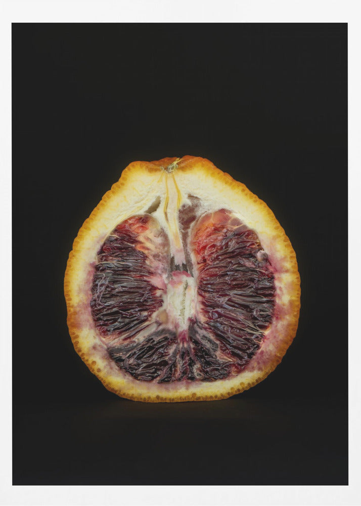 Purpurrote Scheibe | Poster