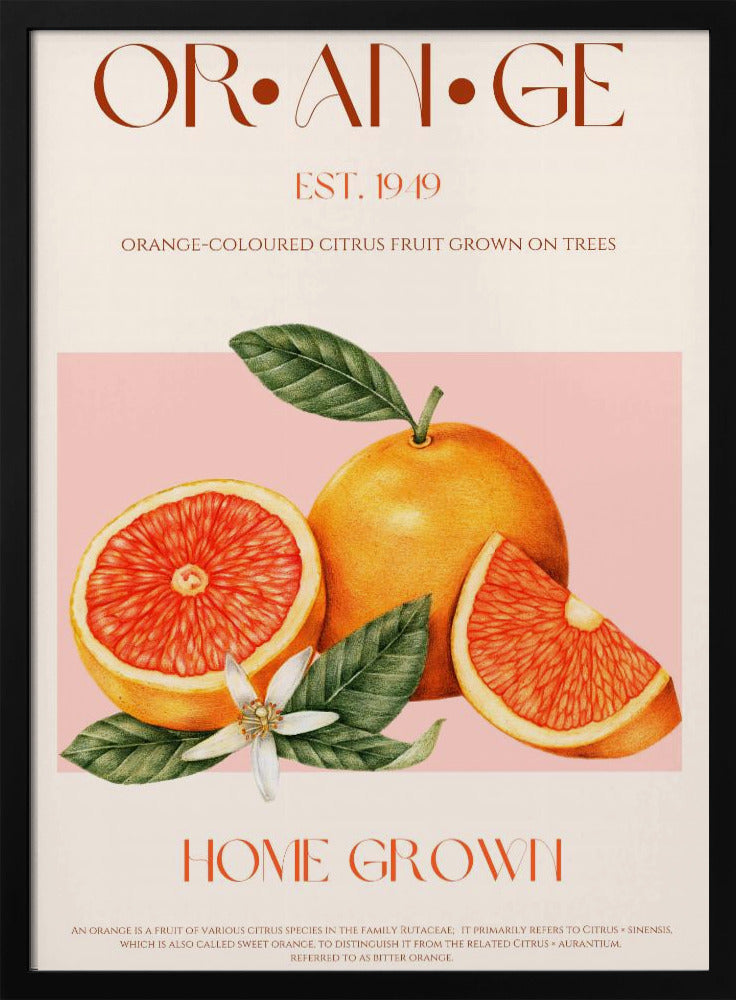 Vintage-tema med livfulla apelsiner | Poster