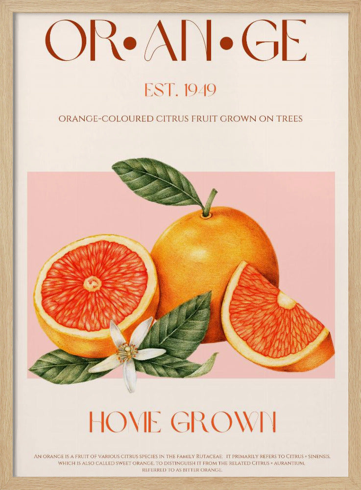 Vintage-tema med livfulla apelsiner | Poster