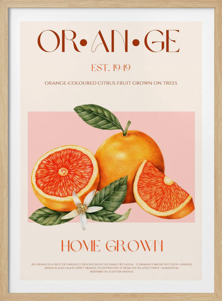 Vintage-tema med livfulla apelsiner | Poster