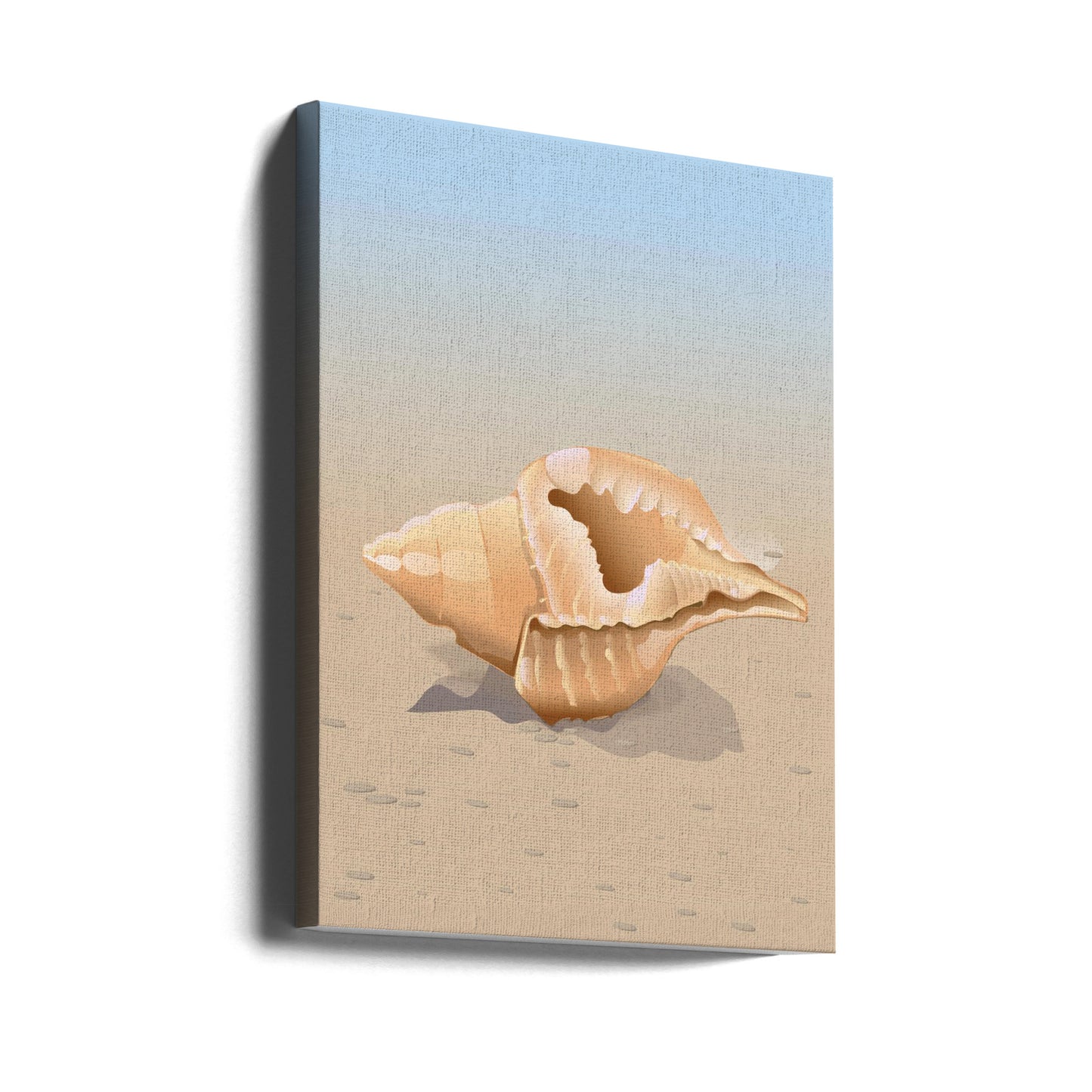 Seashell On A Sandy Beach | Canvas