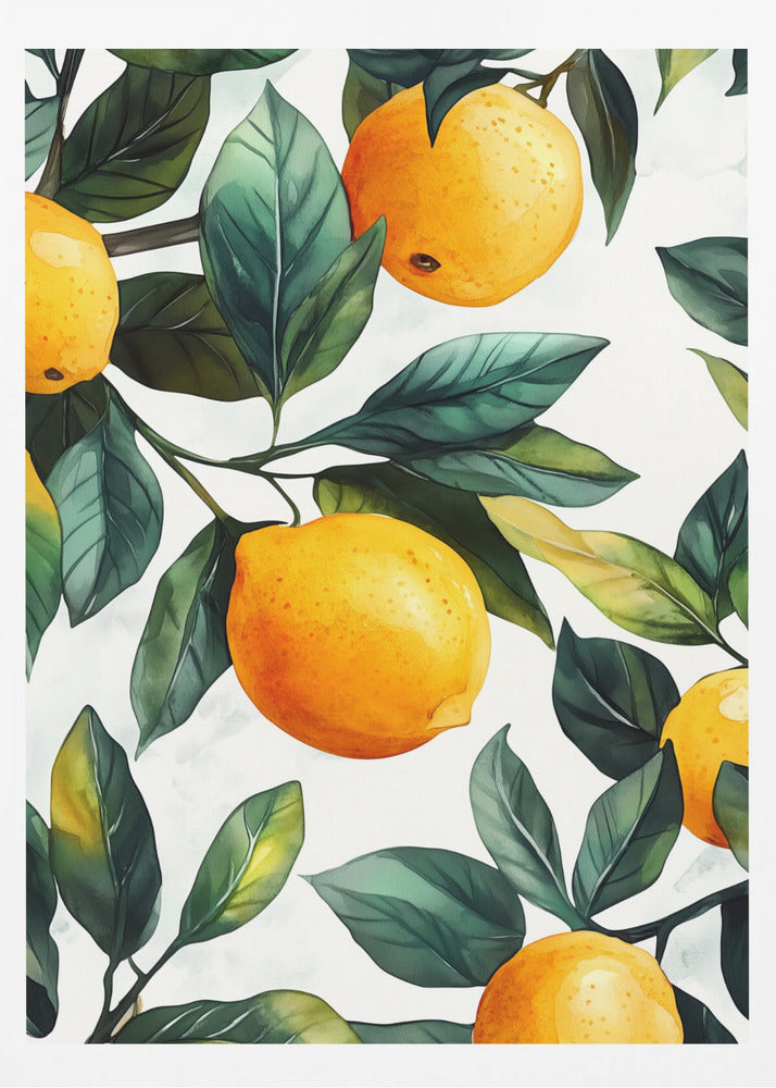 Citroner | Poster