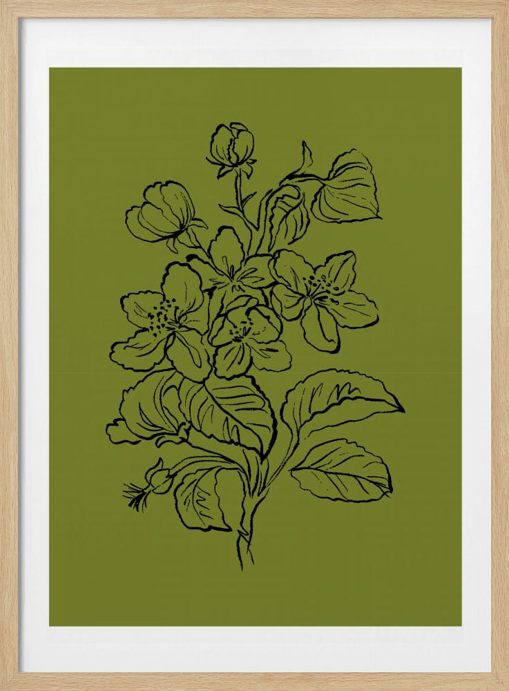 Botanical Elegance | Poster
