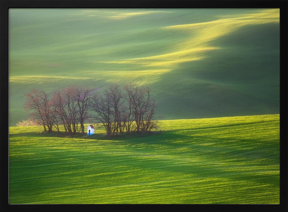 Felder... | Poster - Kunstdruck