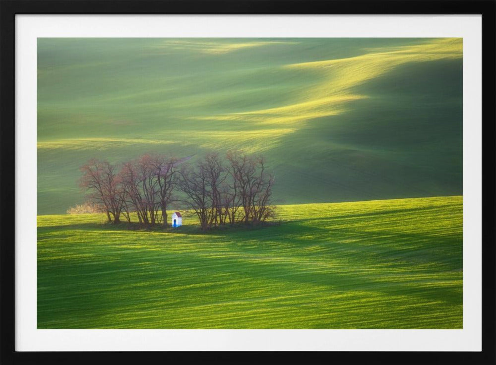 Felder... | Poster - Kunstdruck