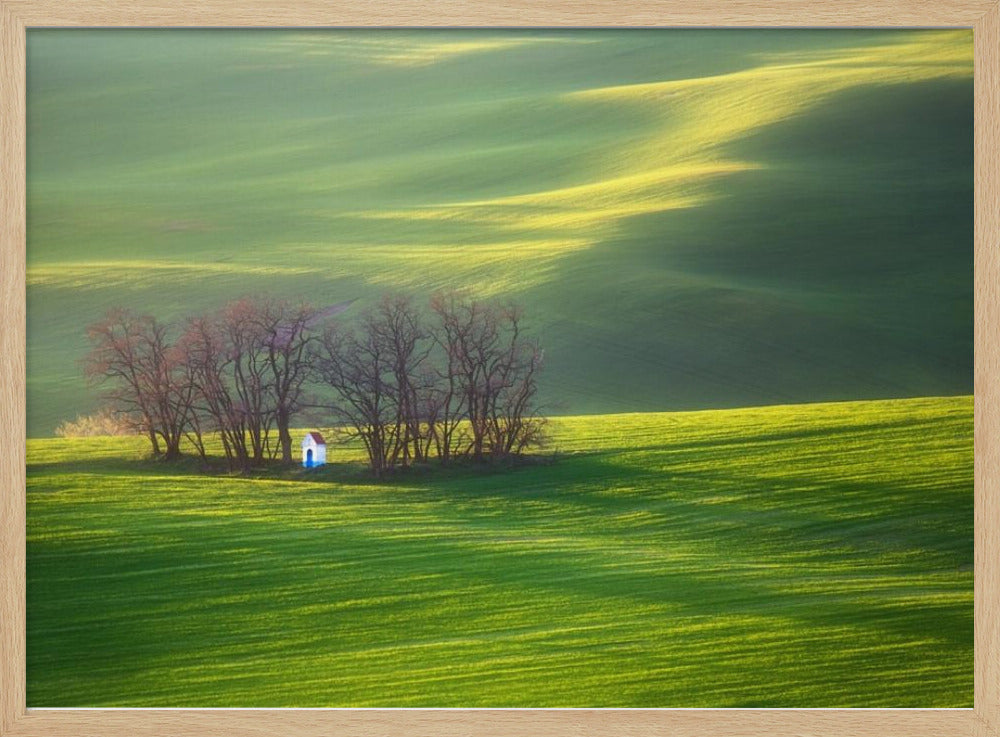 Felder... | Poster - Kunstdruck