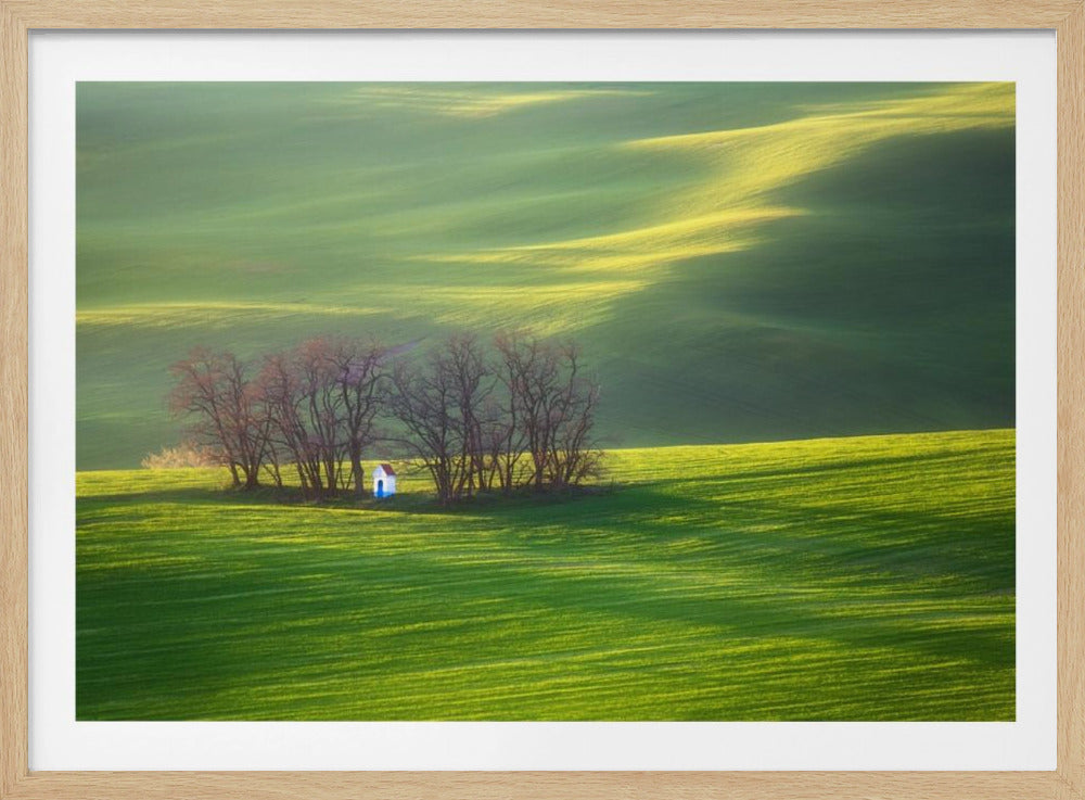 Felder... | Poster - Kunstdruck