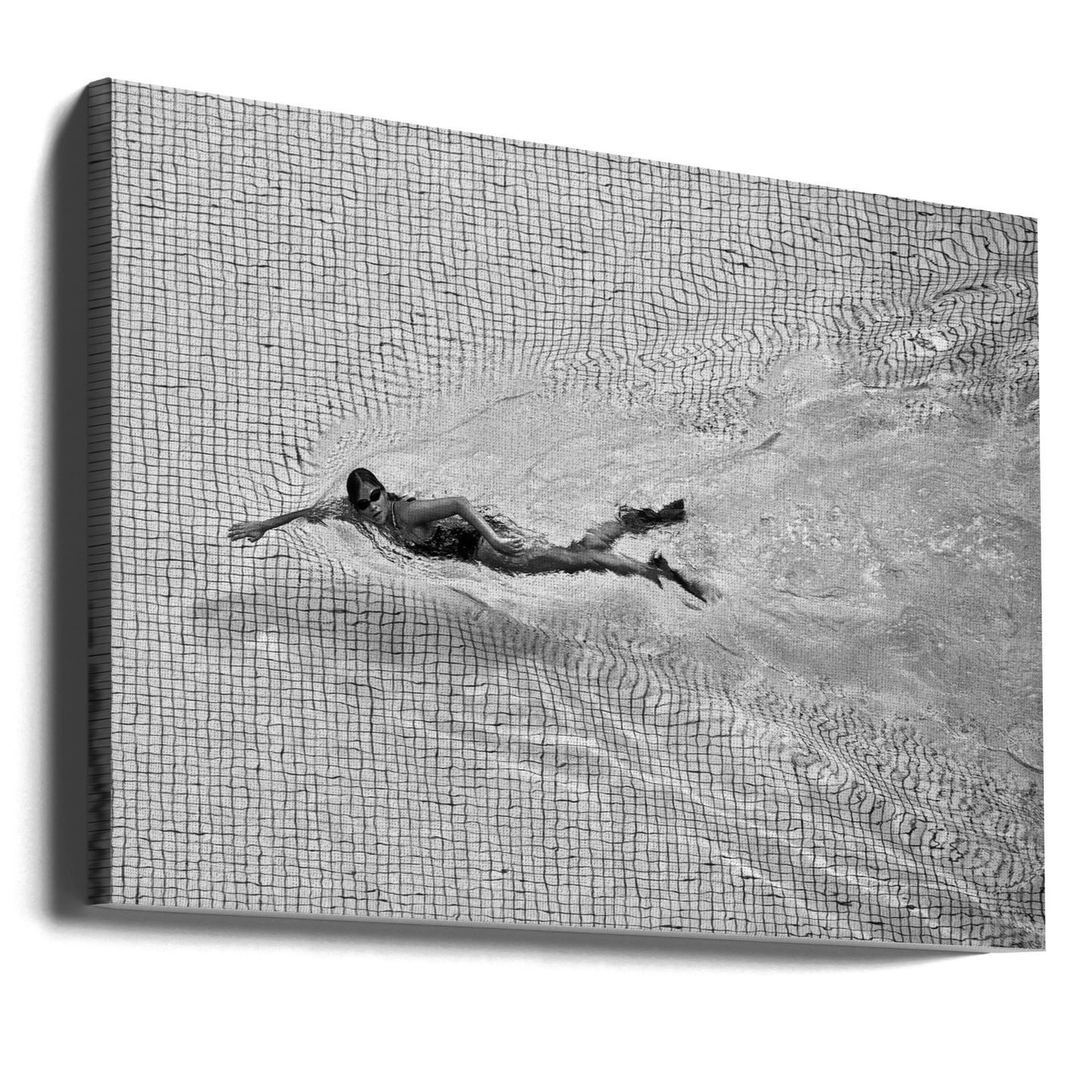 Breaking the net | Canvas