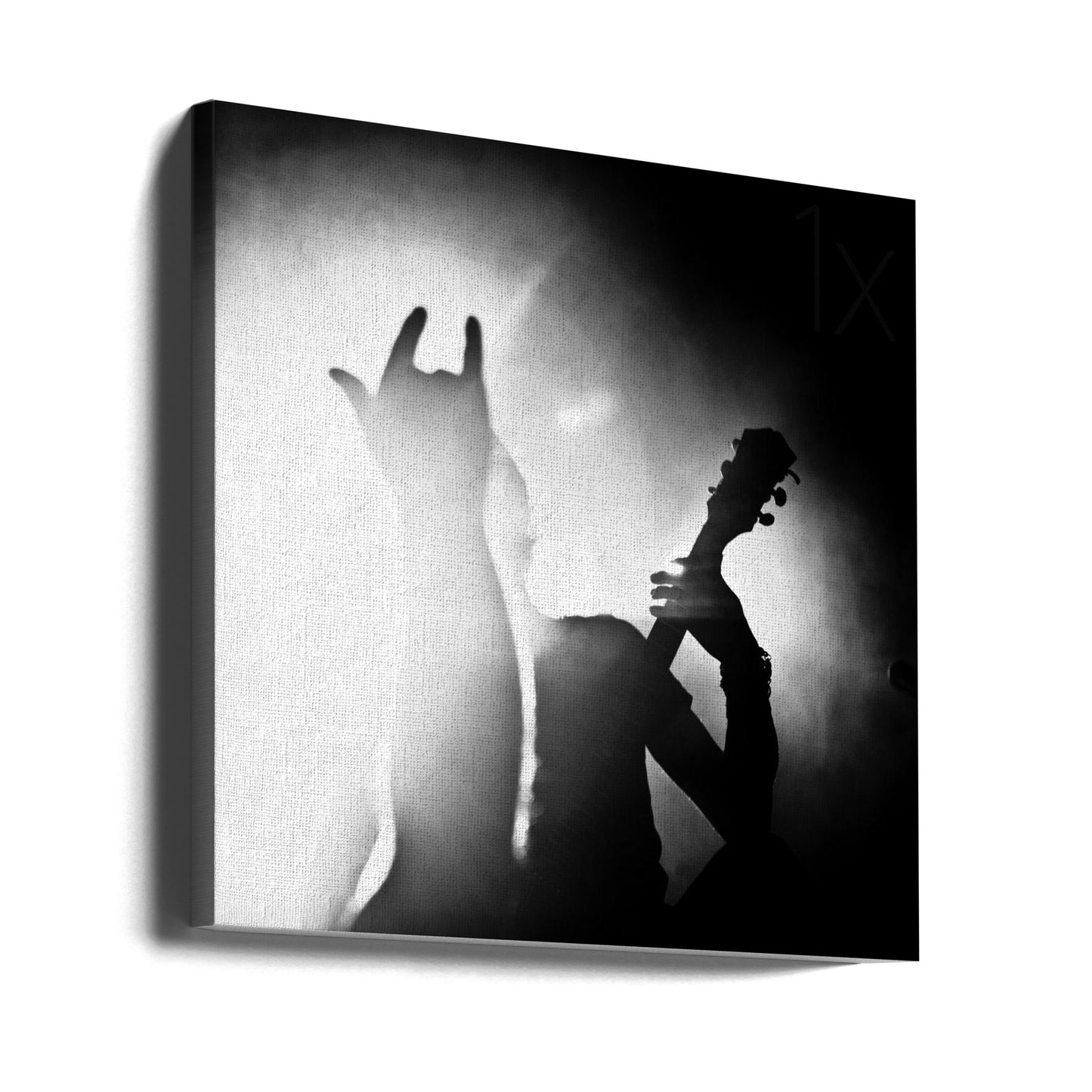 Mandragore | Tableaux sur Toile