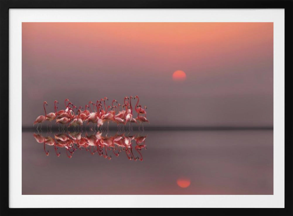 lilla solnedgang | Plakater - Kunsttryk