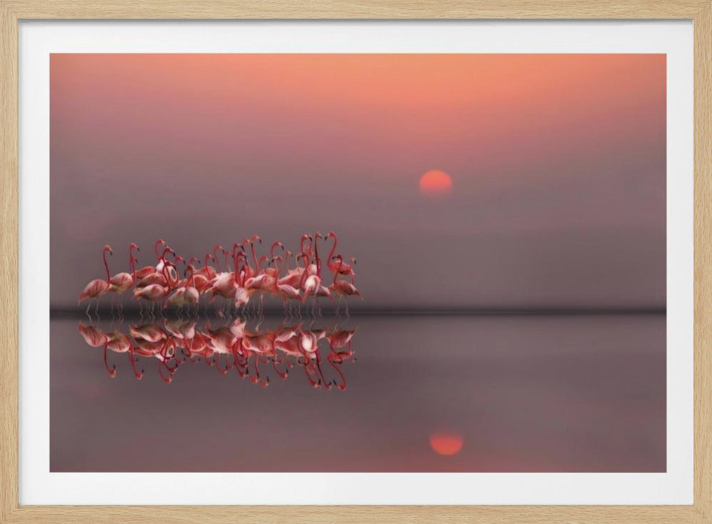 lilla solnedgang | Plakater - Kunsttryk